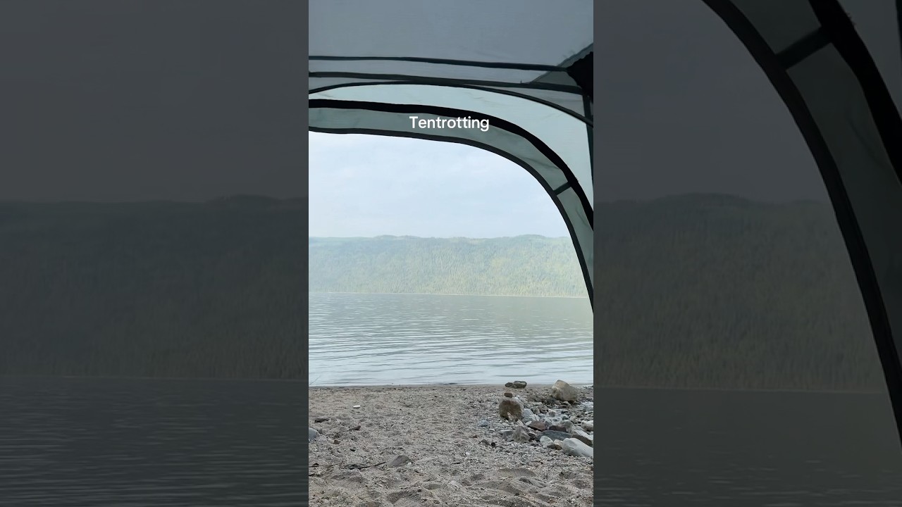 Better than bedrotting #tenting #camping #outdoors #lakeside