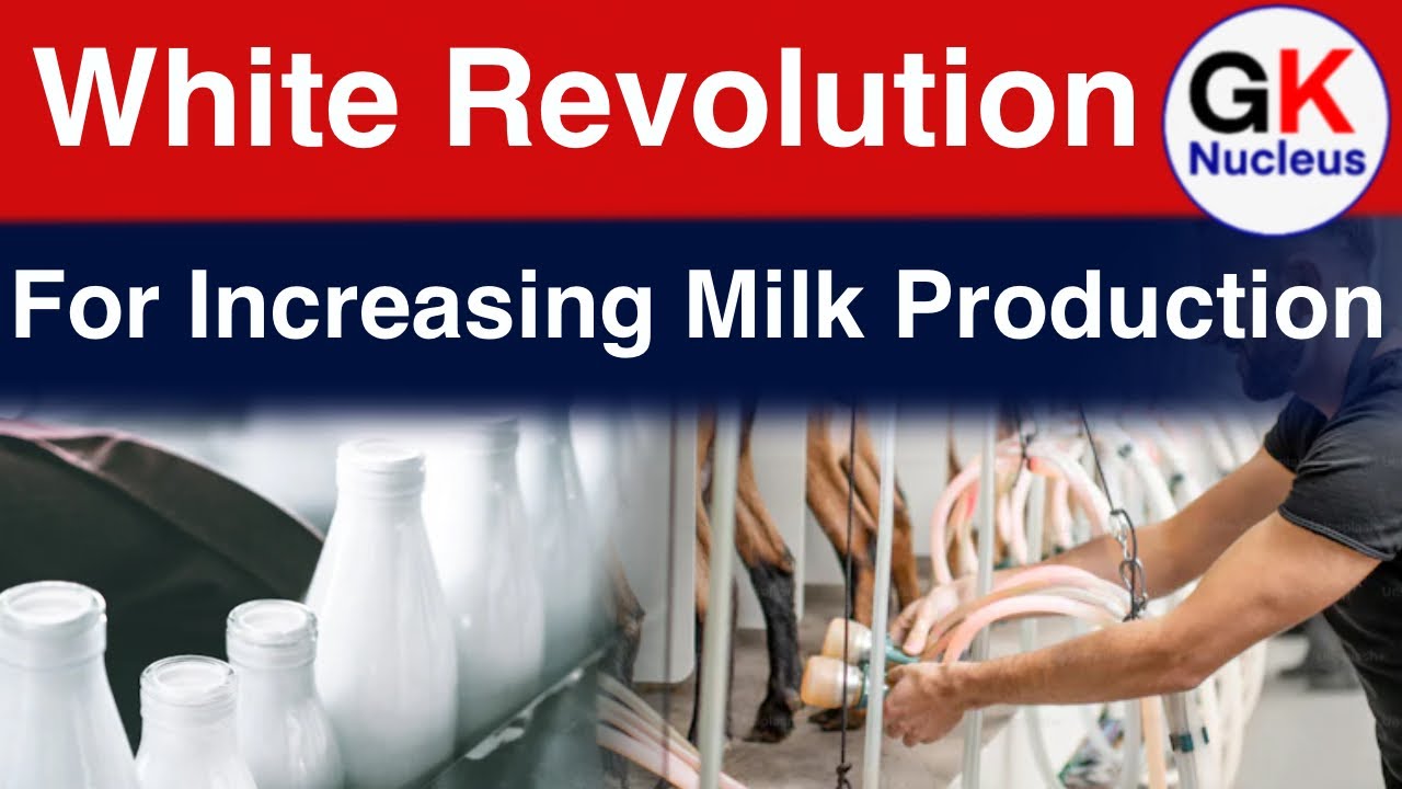 All About White Revolution For Increasing Milk Production | CurrentAffairs #gknucleus #upsc