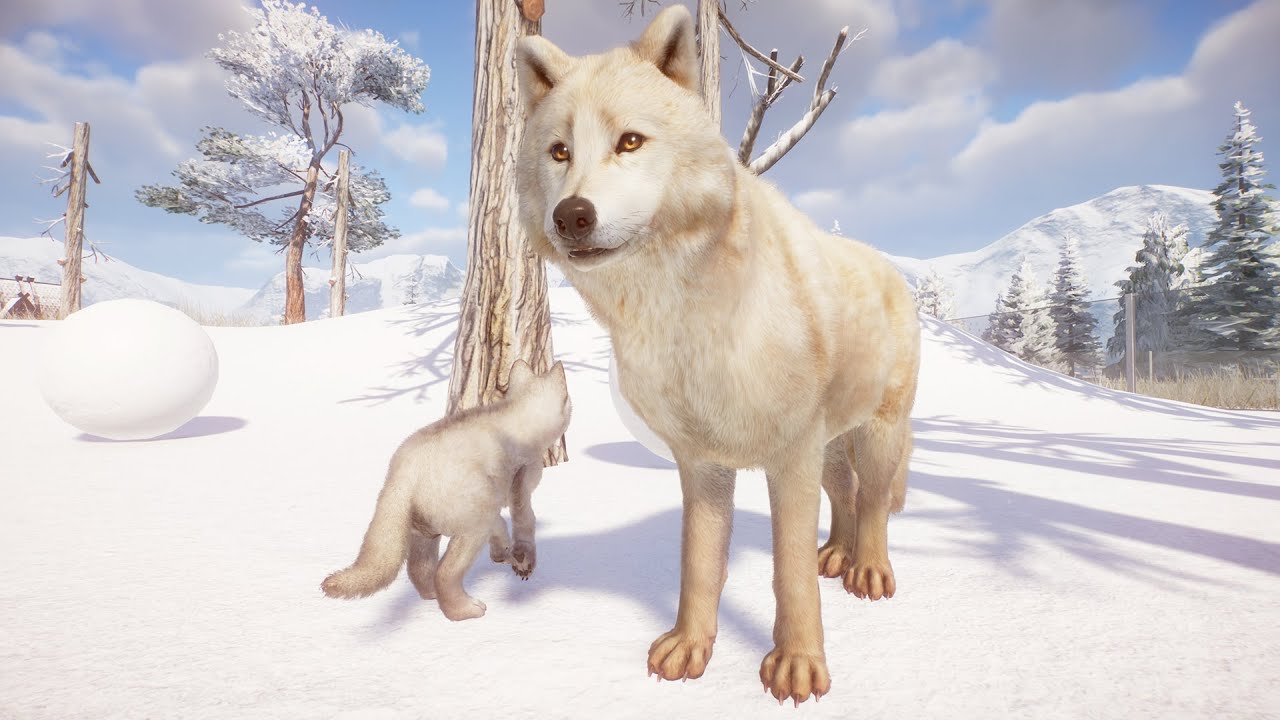 PLANET ZOO Arctic Wolf Hunting Arctic Research Park