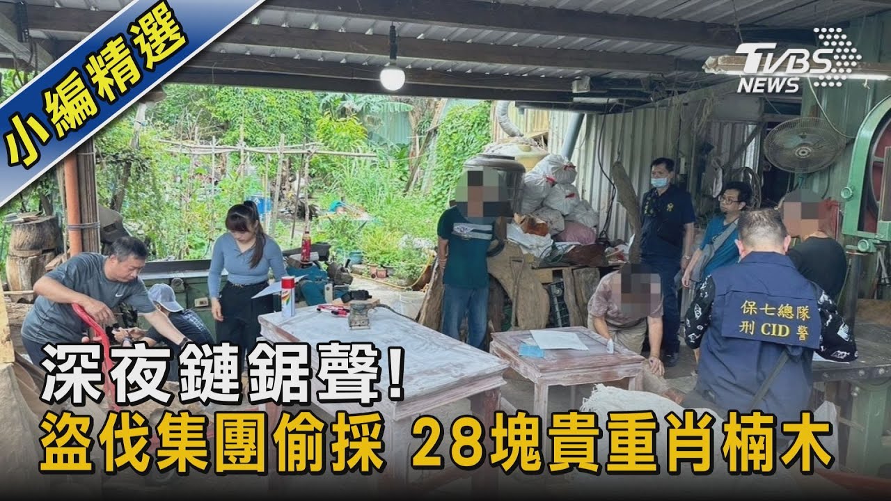深夜鏈鋸聲! 盜伐集團偷採 28塊貴重肖楠木｜TVBS新聞 @TVBSNEWS02