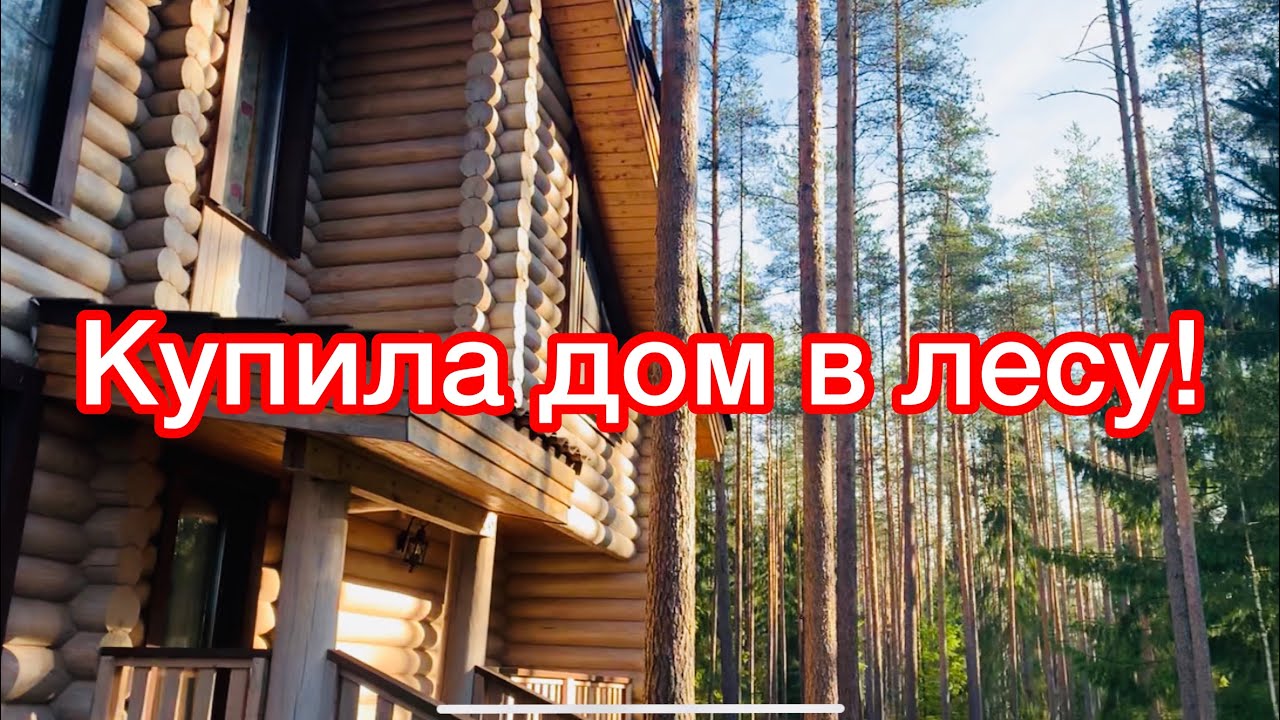 КУПИЛА ДОМ В ЛЕСУ. НЕОЖИДАННЫЙ ВЫБОР. 20 мая 2020 г.
