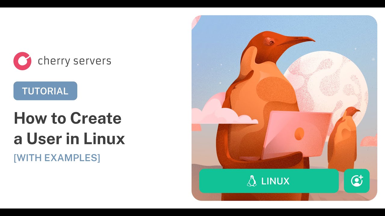 How to Create a User in Linux [With Examples]