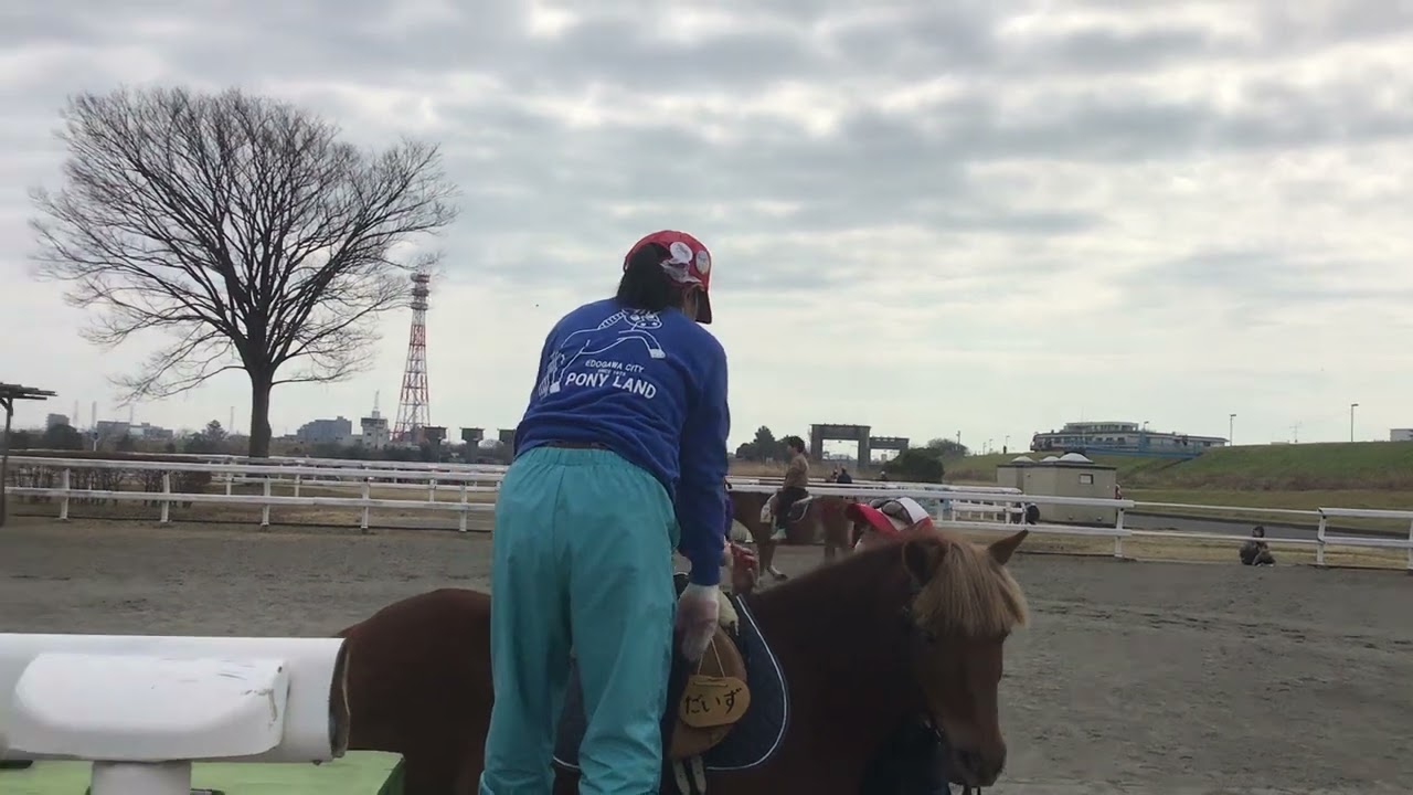 horse