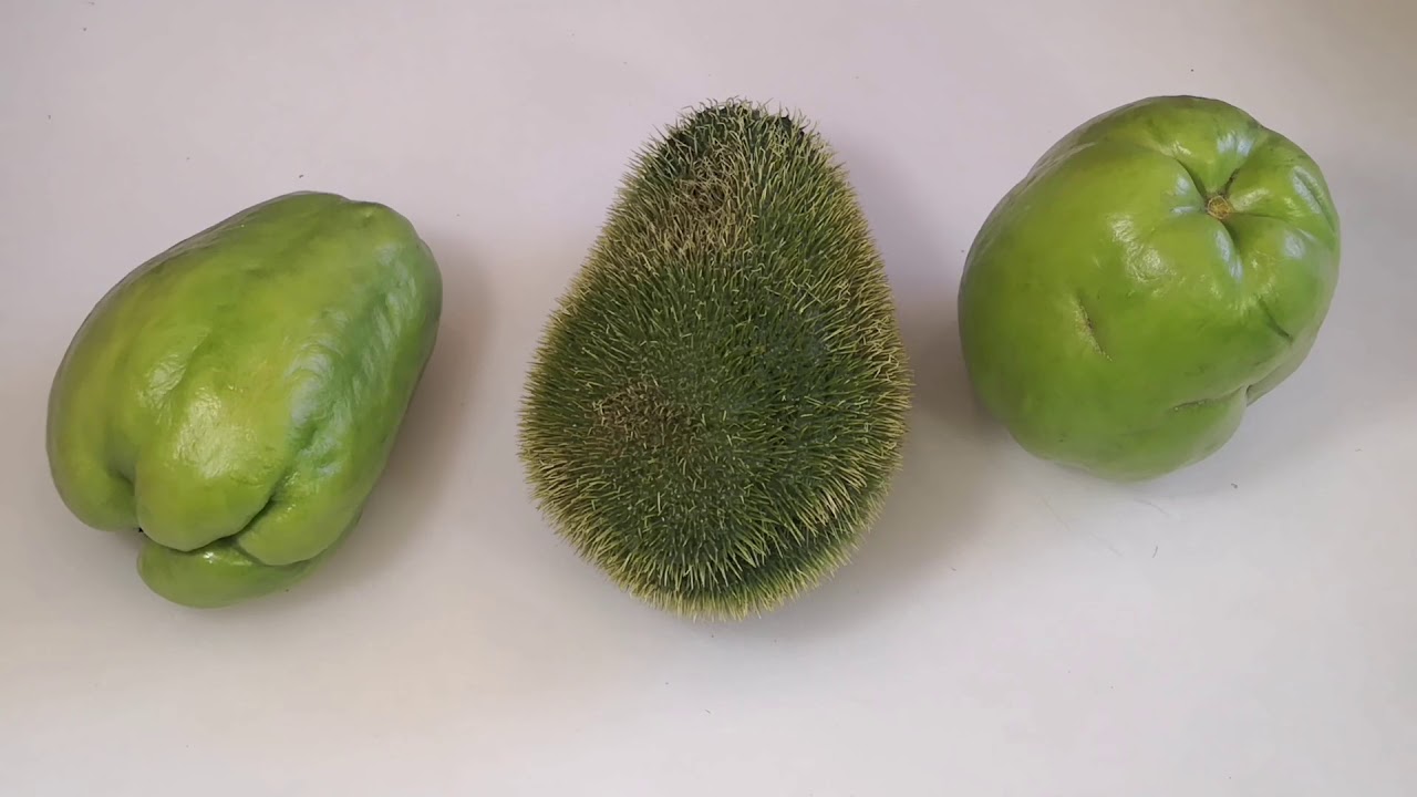Técnica culinaria para pelar, quitar la semilla y cortar Chayote con y sin espinas Chef David Jahnke
