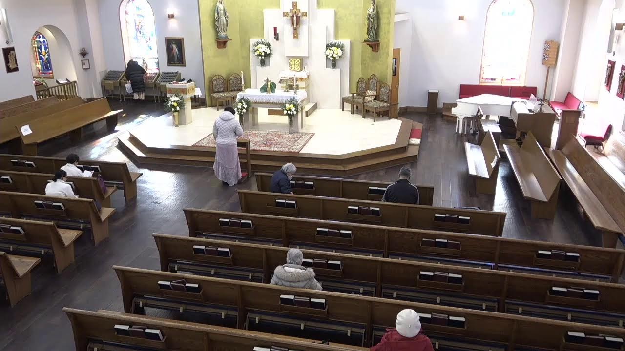 Daily Mass - Feb 13, 2026
