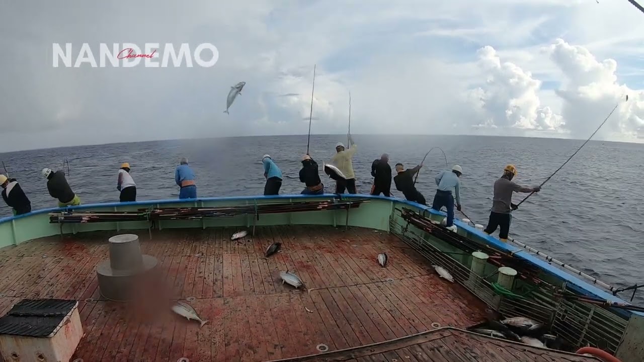 Ikan nya parah sekali‼️ Jangan sampe ketemu gerombolan ikan cakalan ukuran 12kg 1 ekor .  Skipjack