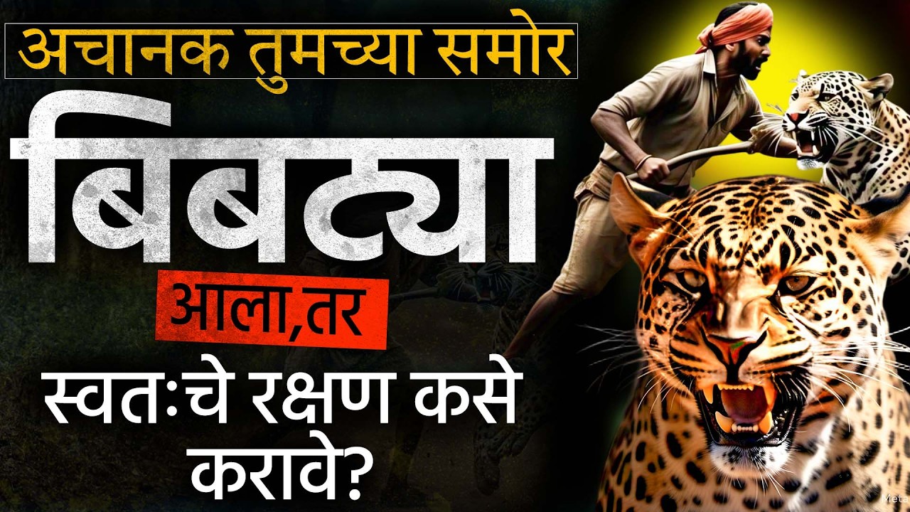 अचानक Leopard समोर आल्यास स्वतःला कसे वाचवाल? Self-Protection Tips!