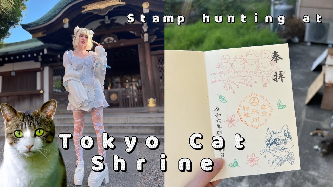 CAT themed Goshuin hunting in Tokyo 🐈 🇯🇵