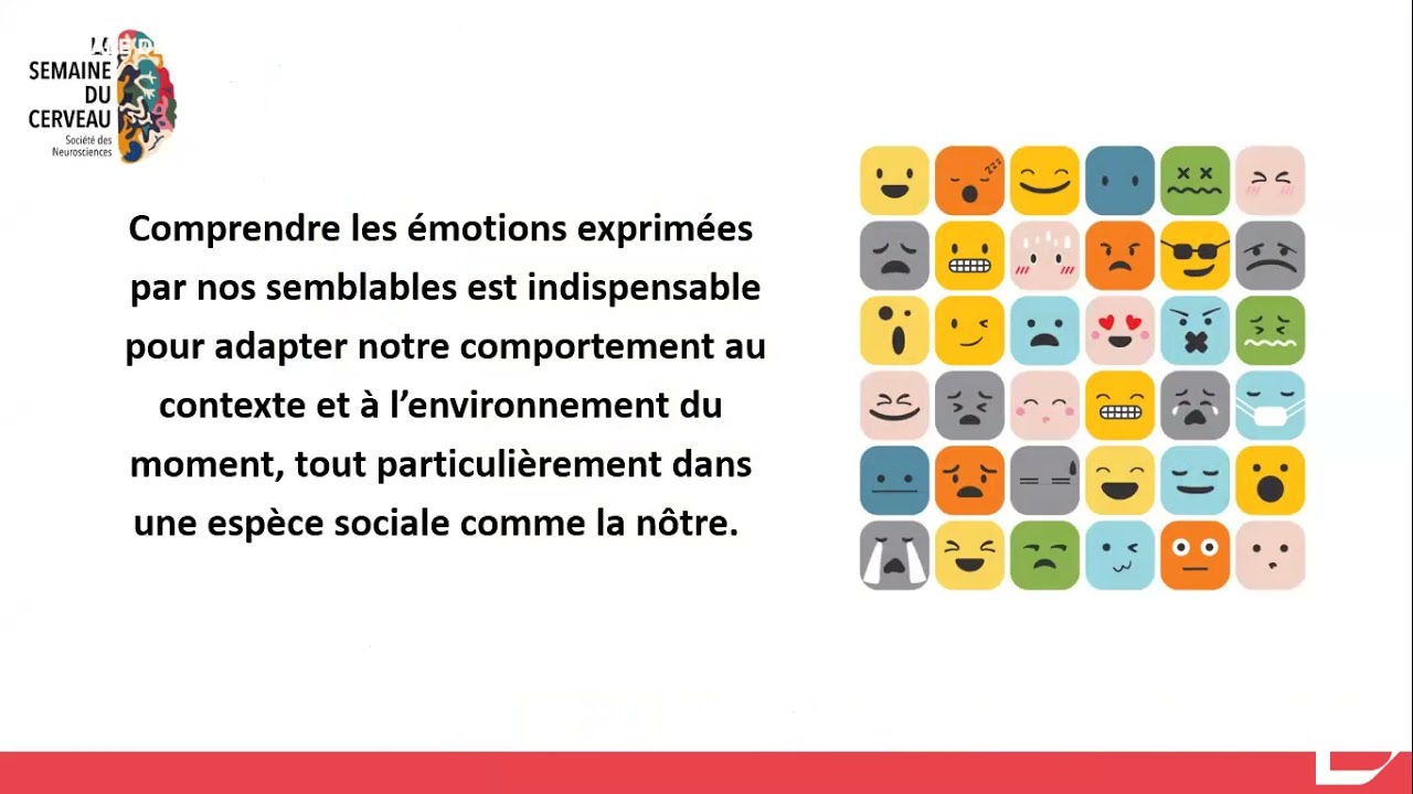 &Eacute;motions et comportement social [Semaine du Cerveau - Lyon]