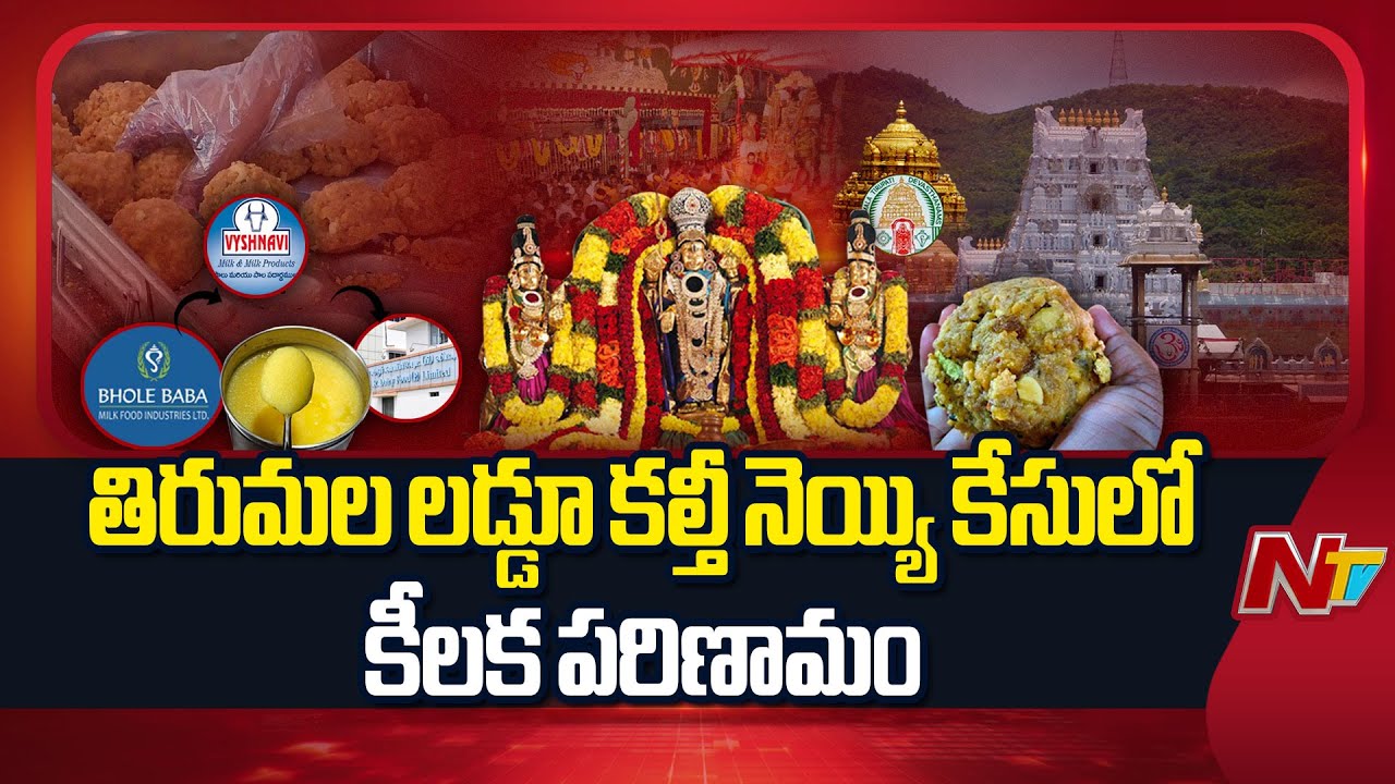 Key Development in Tirupati Laddu Adulterated Ghee Case | NTV Telugu