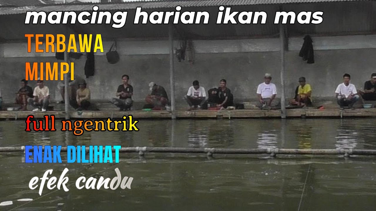 Jangan Nonton Kalau Nggak Mau Ketagihan !! Pelampung Ngentrik Ikan Mas Terganas