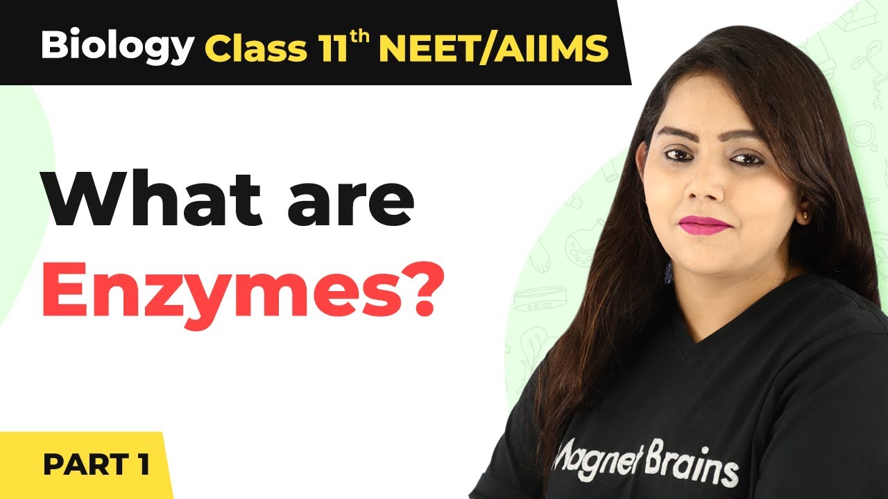 Class 11 Biology Enzymes | Biomolecules Class 11 Biology Enzymes (Part 1) | Class 11 Biology