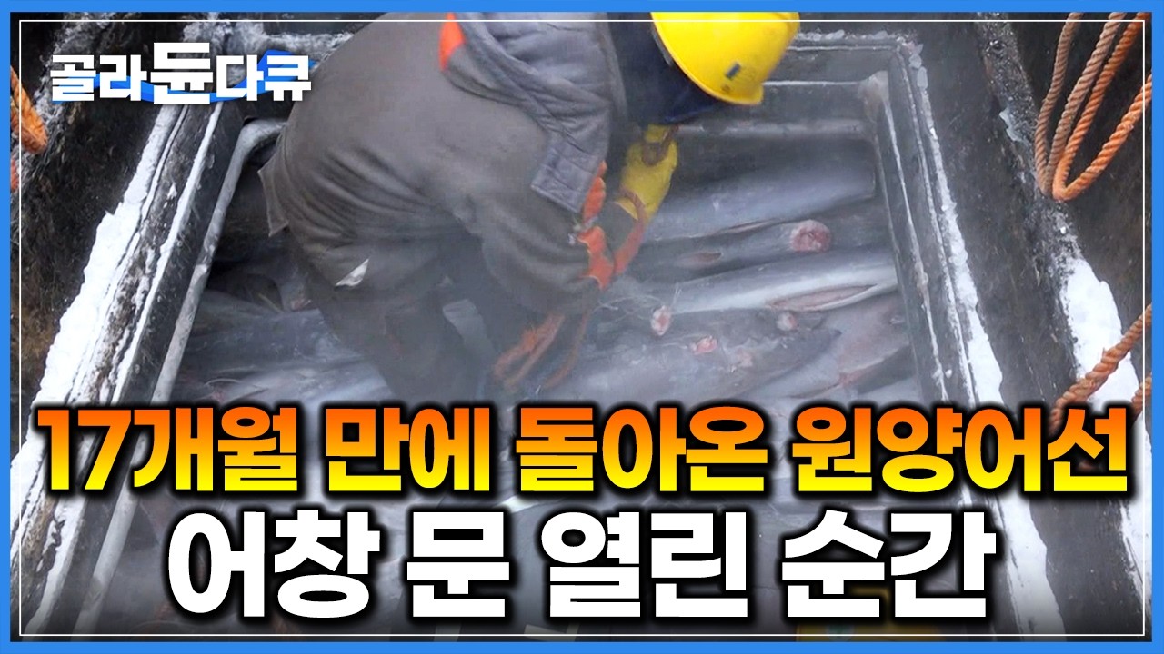 어창 가득 채운 300톤 참치! 17개월 조업 마친 원양어선 바다 건너 한국 도착한 날｜최상급 참치가 밥상에 오르기까지｜생선 가공 공장｜극한직업｜#골라듄다큐