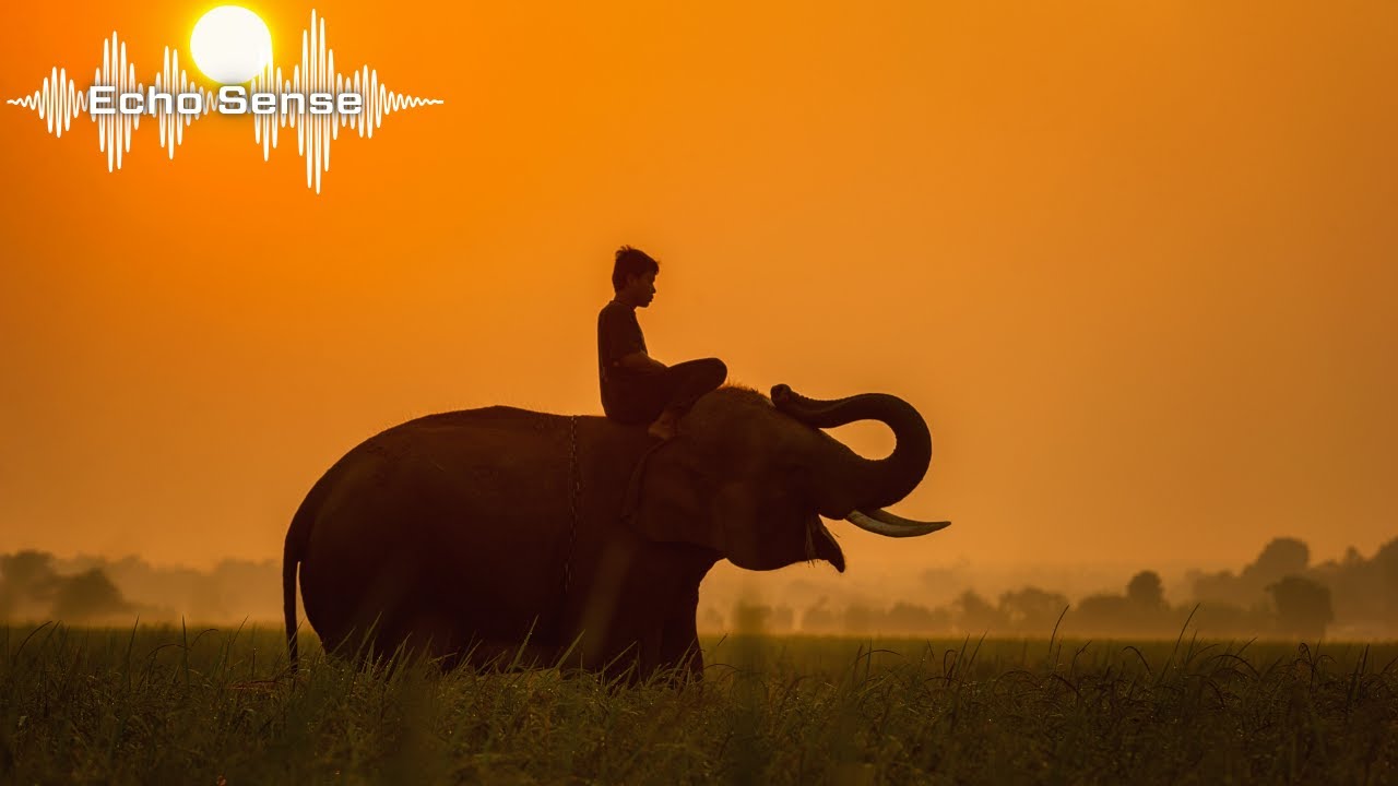 Relaxed Electro Beats – 1 Hour Flow – Echo Sense Music