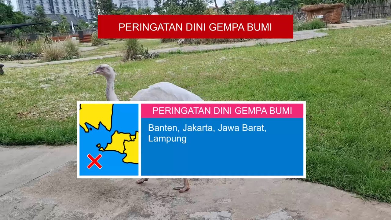 Jakarta EEW Simulation TV