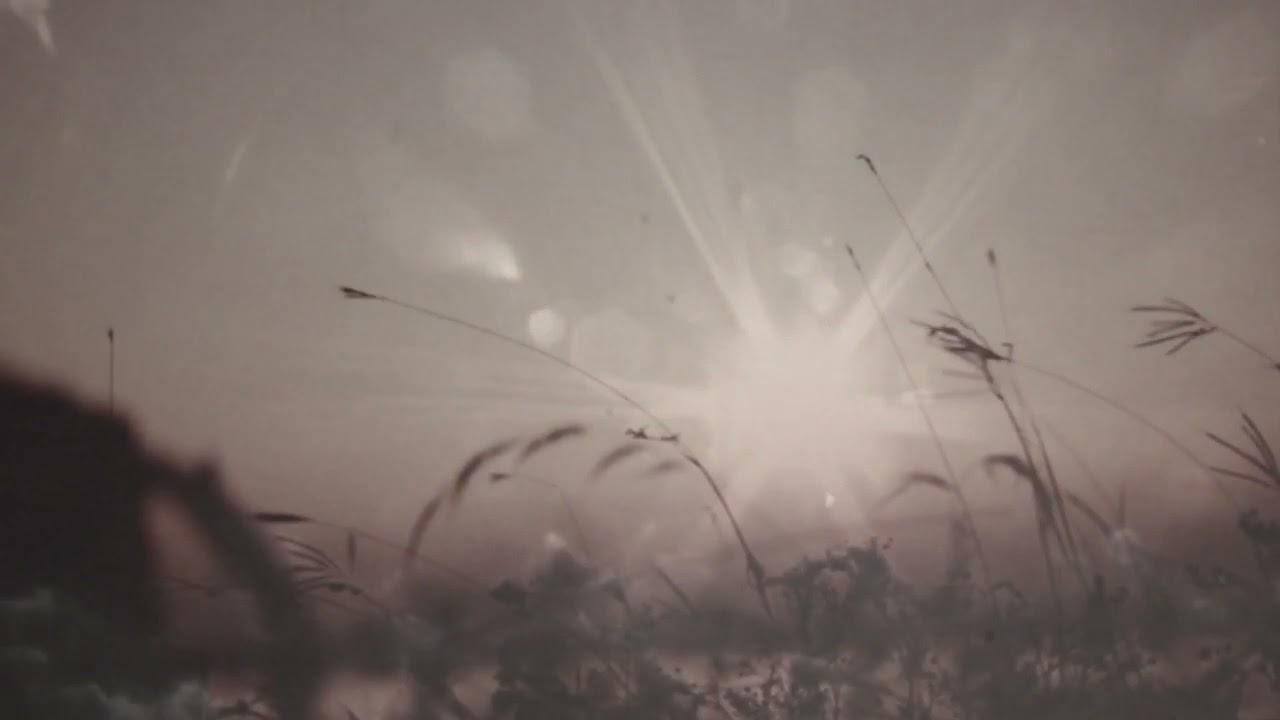 Alm&oslash;st Silent-While We Breath (official music video)