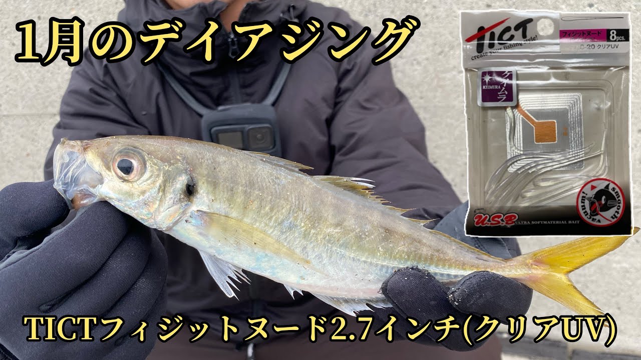 【アジング】和歌山デイアジングで良型のアジが連発！