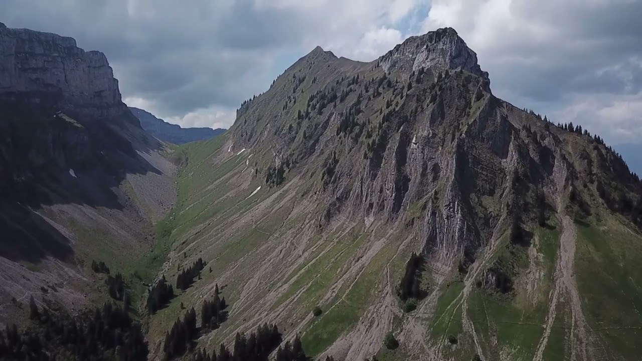 Vom Innereriz zur Sichel