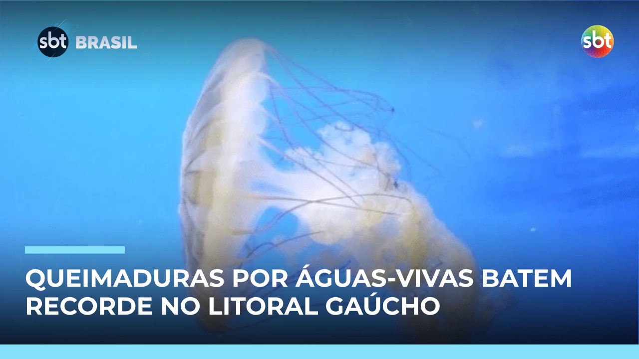 Operação Verão aponta recorde de queimaduras por águas-vivas | #SBTBrasil