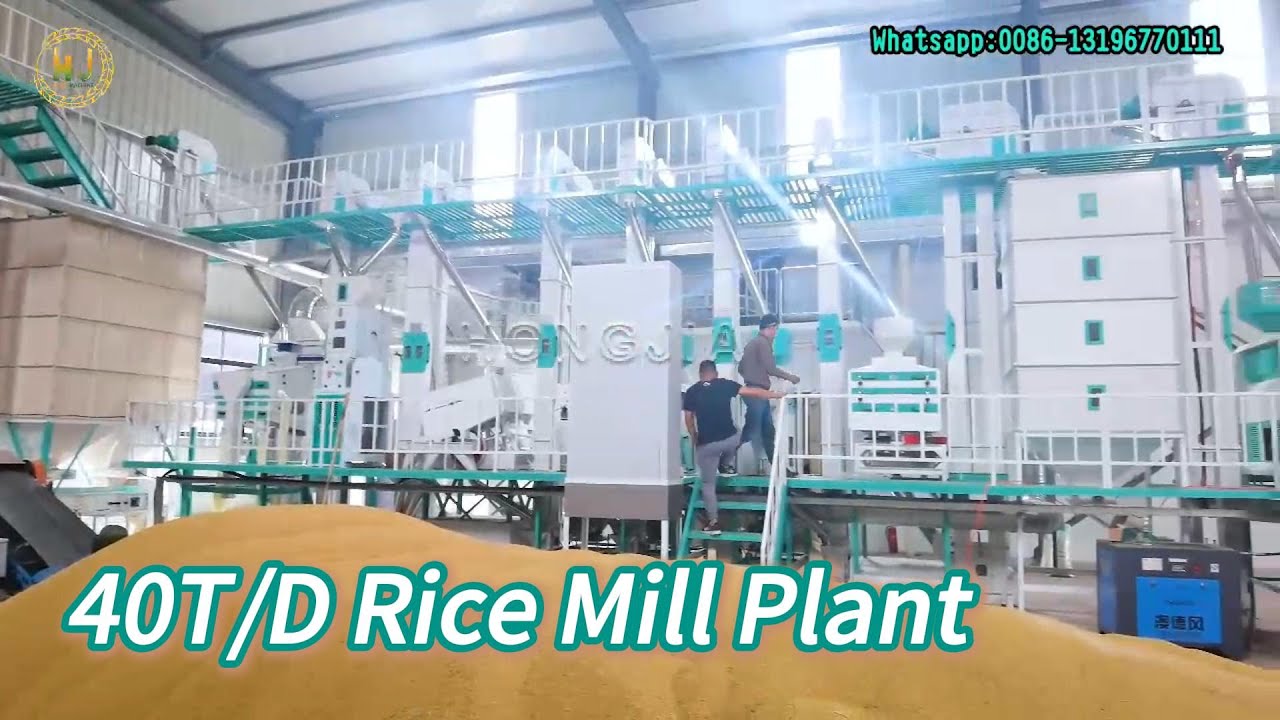 40T/D Complete Rice Processing Plant | Rice Mill Plant Working Time #ricemillsupplier #ricemill