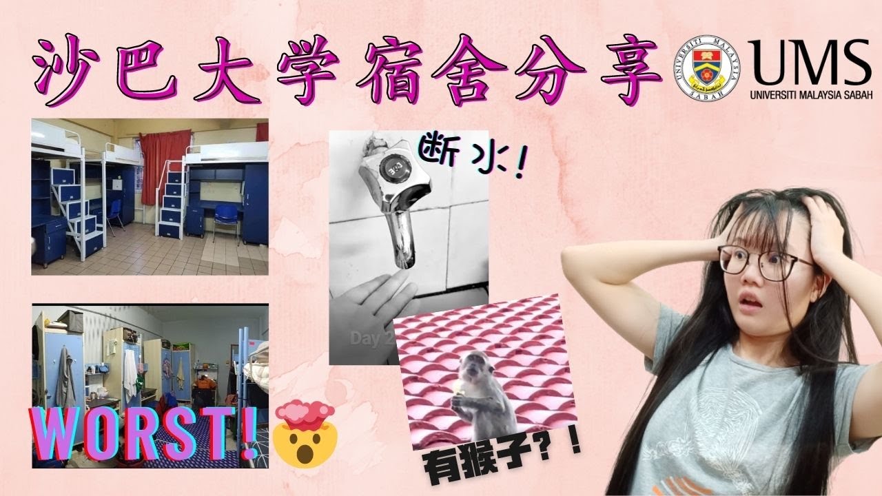 沙巴大学宿舍分享，从最好到最糟！断水！超热！还有猴子跟你一起睡觉？！