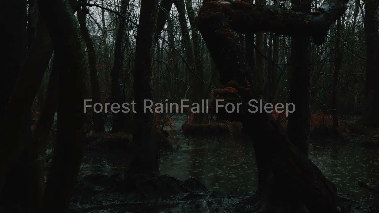 Forest Rain at Midnight | Dark Screen for Sleepless Nights (Hours of Deep Woods ASMR)