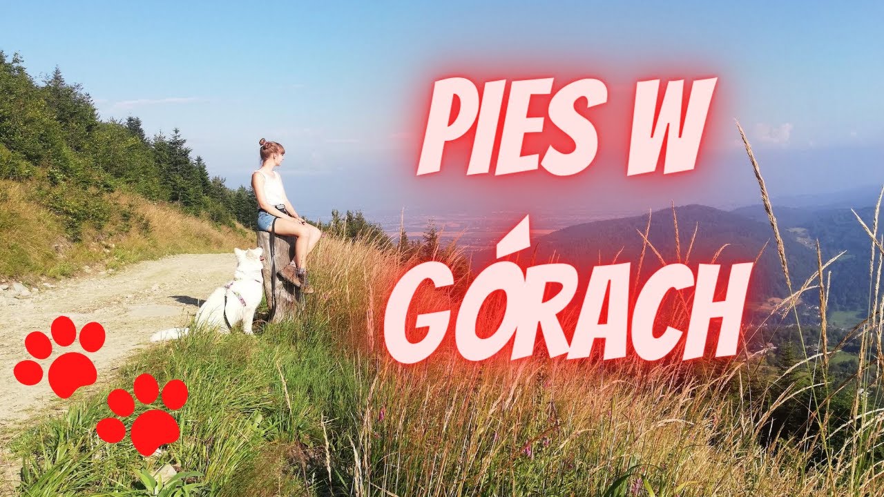 ⛰️ ZDOBYWAMY GÓRSKIE SZCZYTY!  Nela w Beskidach | Klimczok | PIES W GÓRACH
