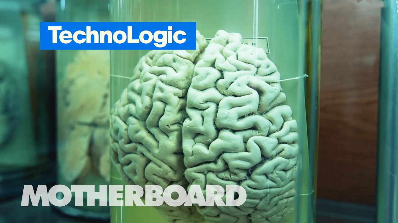 The Hunt for Brain-Based Addiction Treatments | TechnoLogic