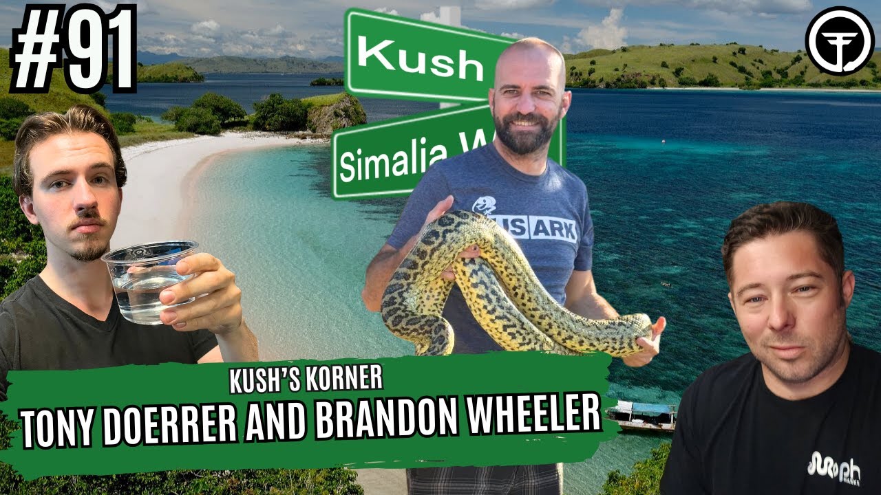 Keeping And Breeding Yellow Anacondas | Kush's Korner Live