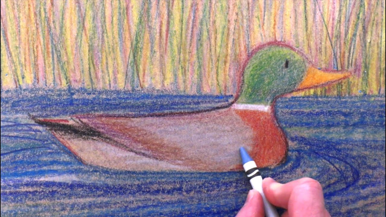 Let's Draw a Duck - crayons on craft paper