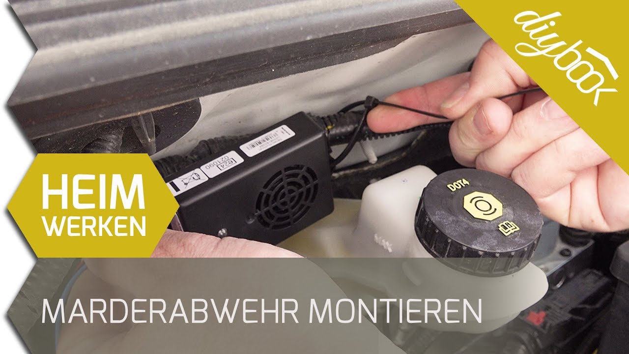 Marderabwehr
