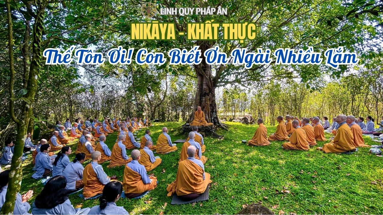 NIKAYA Khất Thực