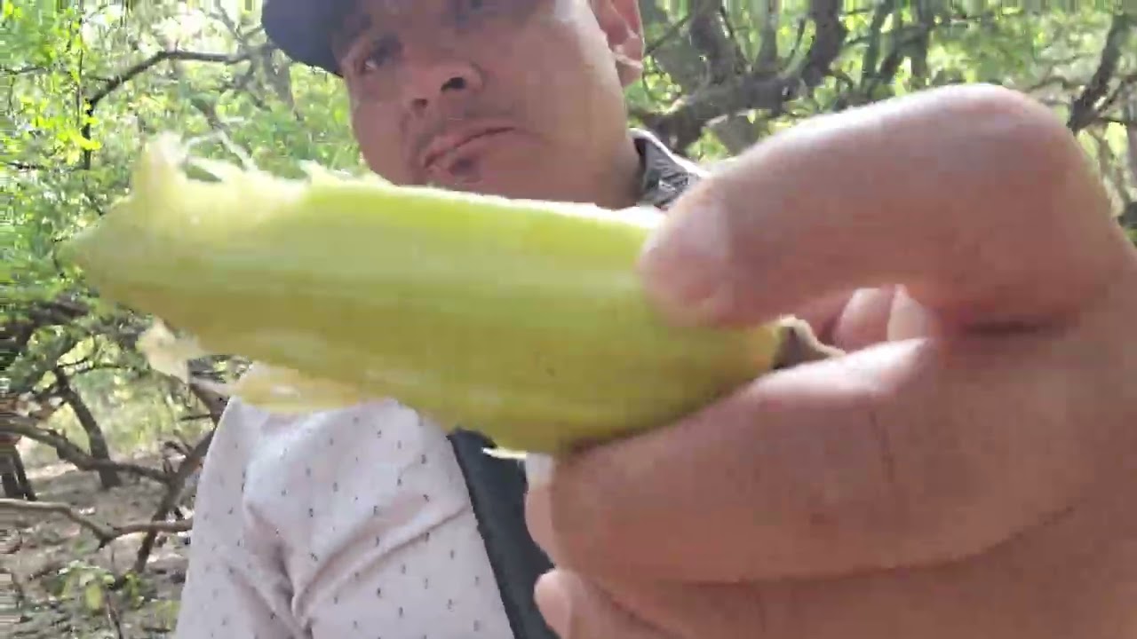 Comiendo Cuajilotes En Los Cuajilotes De San Jerónimo Nuchita 2026