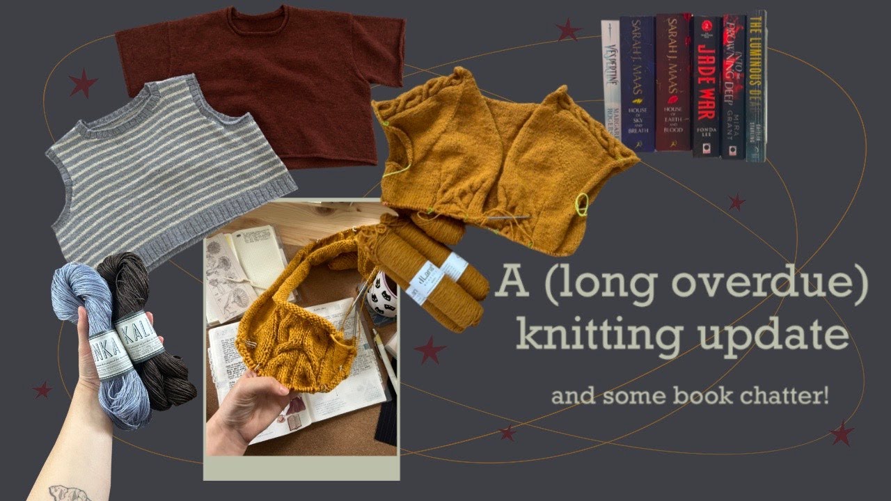 An overdue knitting update | New test knit, many WIPs and recent reads | Knitting and crochet chat