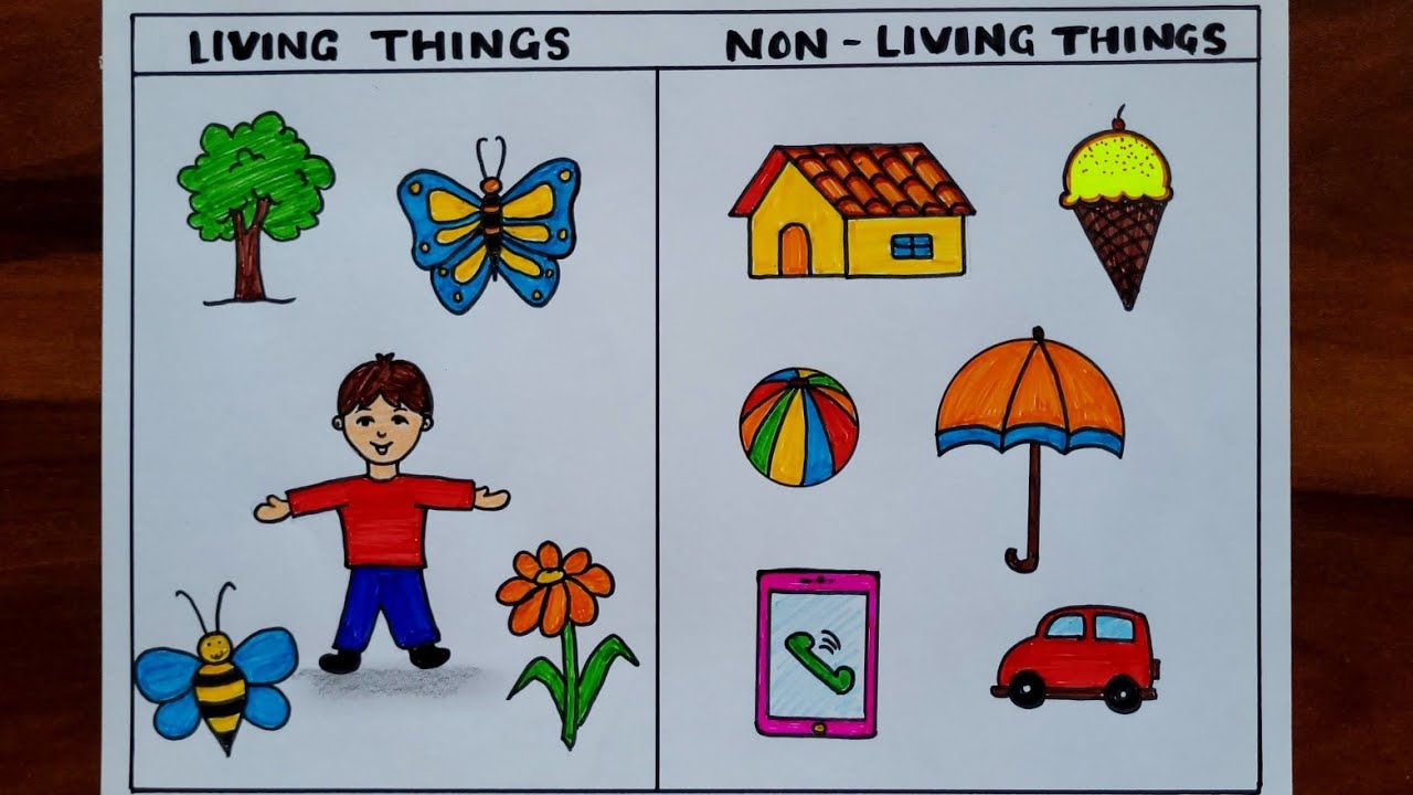 Easy living and Non Living Things Drawing | Natural and Man Made Things