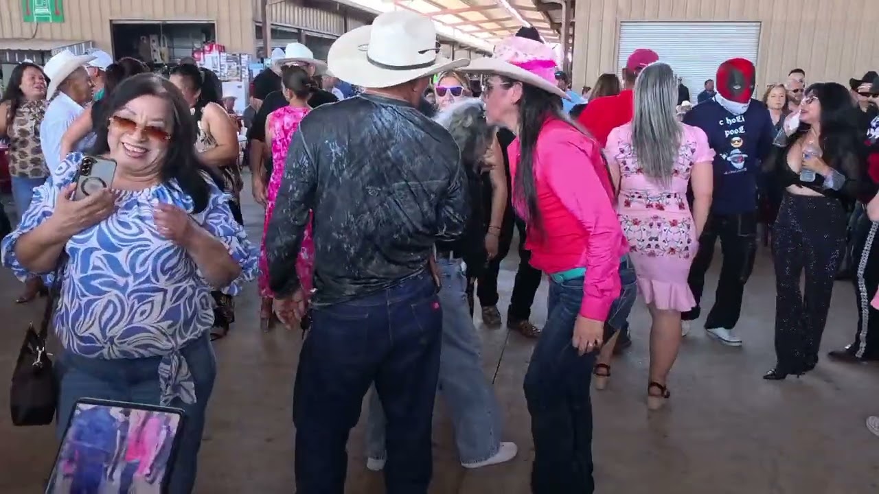 LA pulga de Álamo TX.