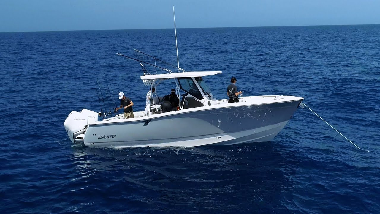 Walkthrough Blackfin 302CC
