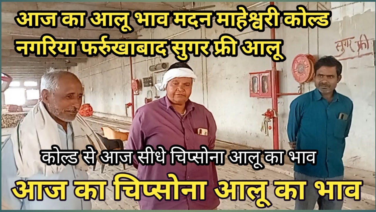 आज का आलू भाव | मदन माहेश्वरी कोल्ड नगरिया फर्रुखाबाद | आज का चिप्सोना आलू भाव |ytamedia