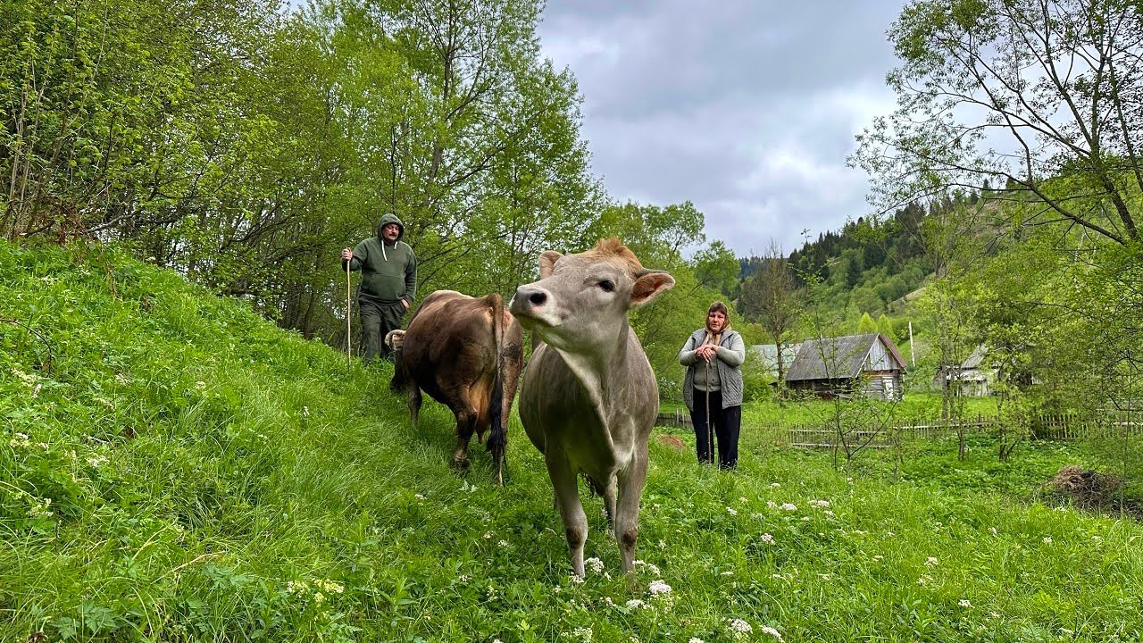 Grandpa Builds Wooden Tables 🪵 & Grandma Makes Cheese 🧀 | Peaceful Village Life in the Carpathians