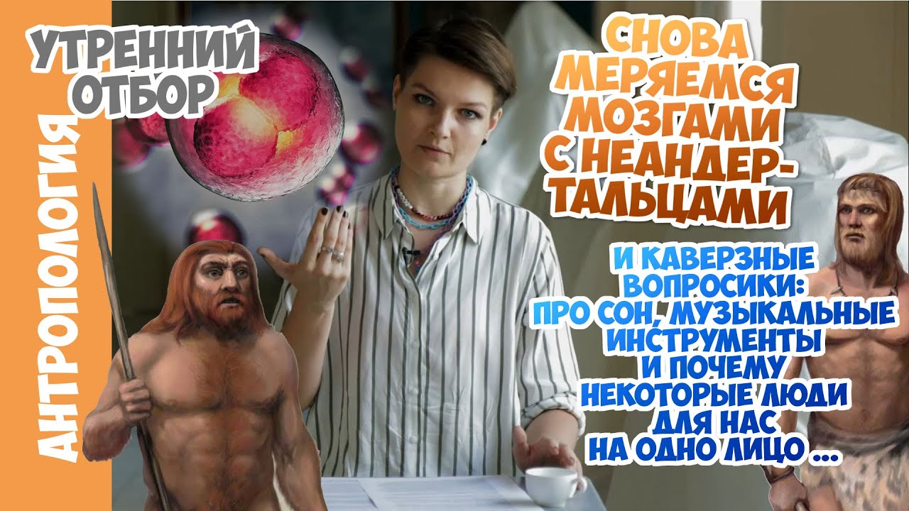 Ищем преимущества нашего мозга над неандертальским. Елена Сударикова