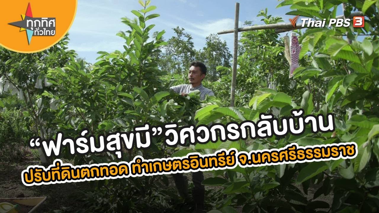 “ฟาร์มสุขมี” วิศวกรกลับบ้าน ปรับที่ดินตกทอด ทำเกษตรอินทรีย์ จ.นครศรีธรรมราช | อาชีพทั่วไทย