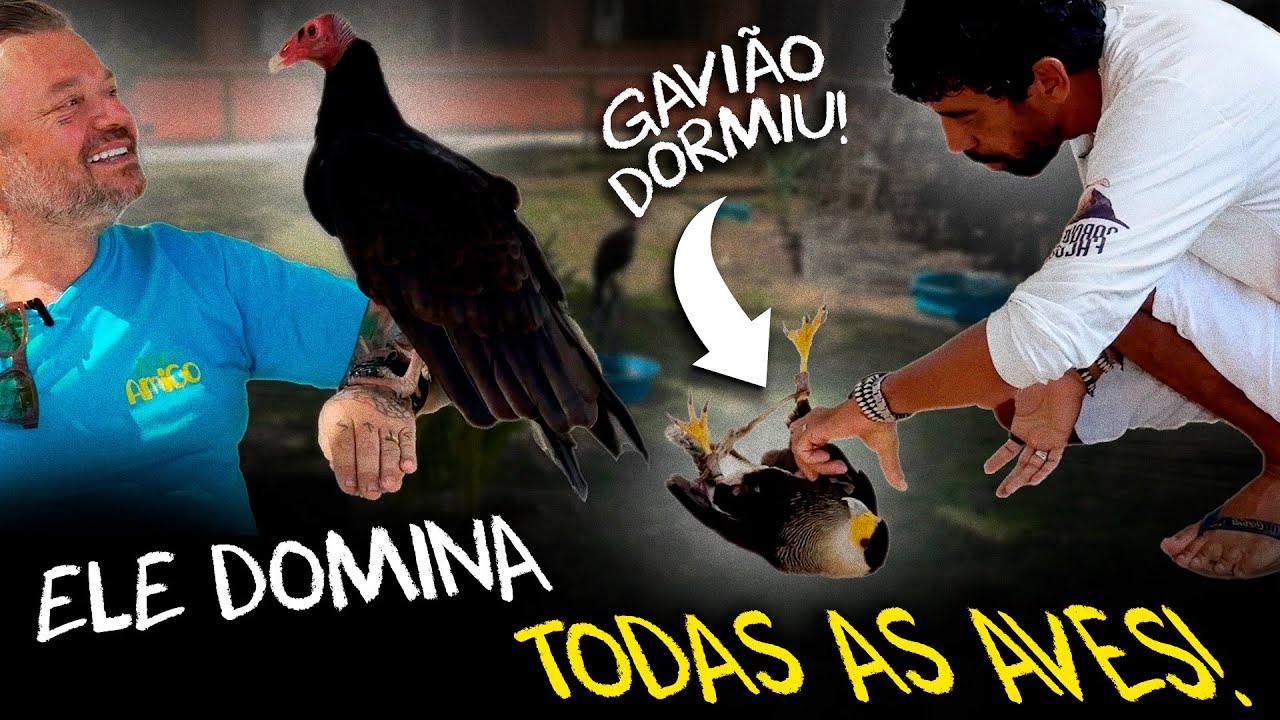 ESSE CARA COLOCA ATÉ GAVIÃO PARA DORMIR!