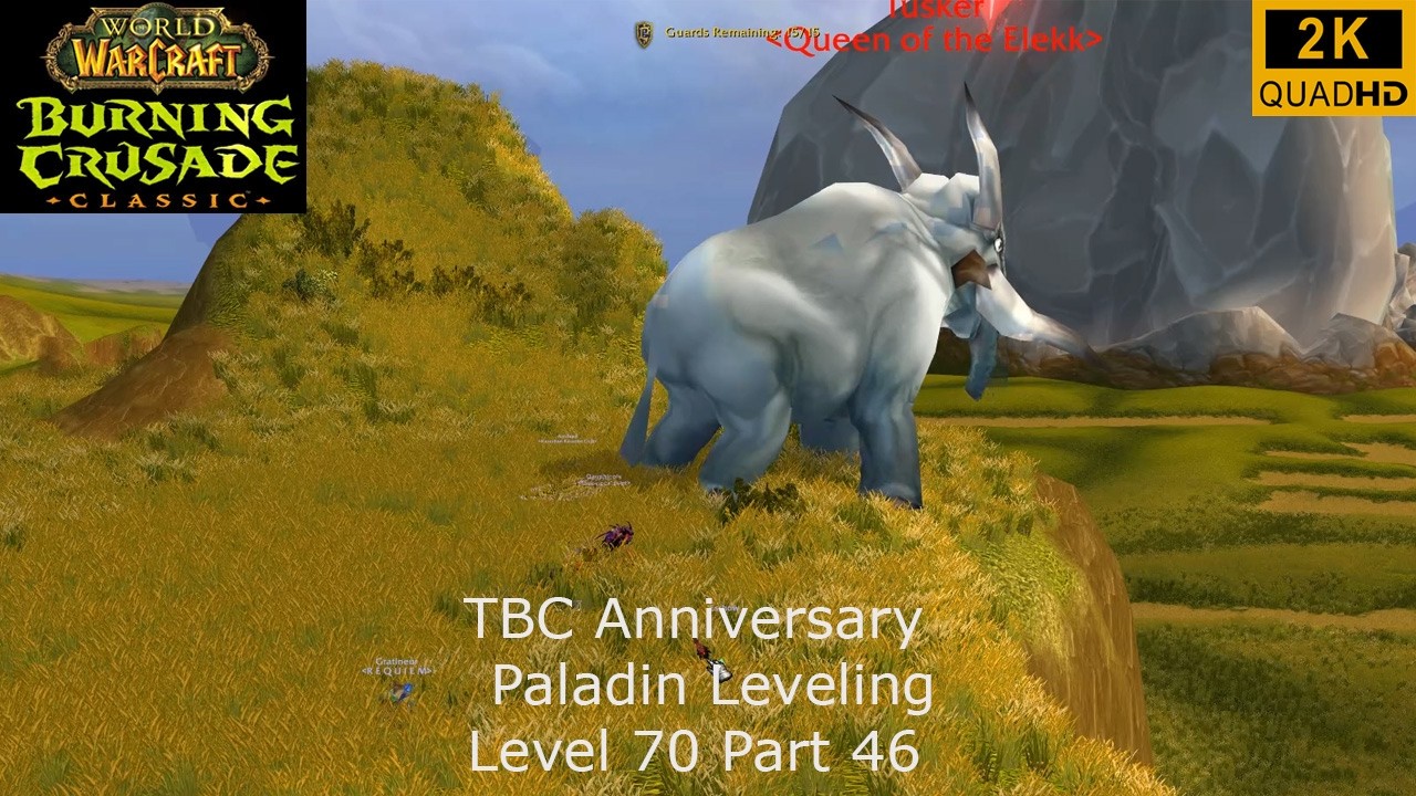 WoW TBC Anniversary | Paladin Leveling | Level 70 Part 46 | Retri Paladin PoV | No Commentary 2K