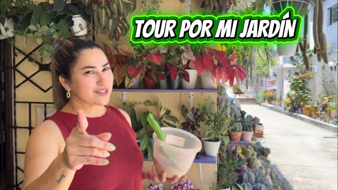 Tour por mi pequeño jardín mágico 🌿 | Mis mejores trucos para cuidar las plantas 
