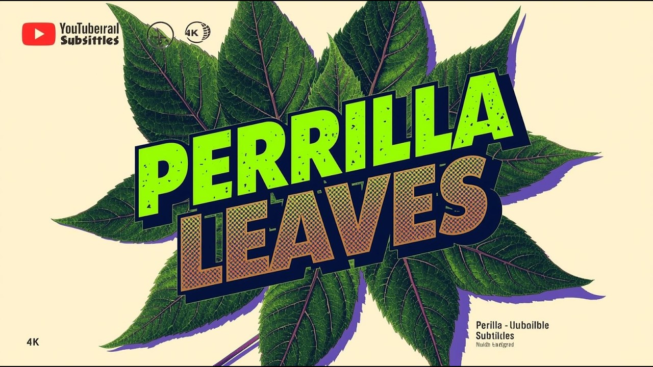 Perilla Leaves Explained: The Aromatic Leaf That Changed Asian Cuisine