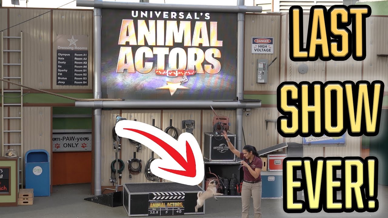 Last Show Ever for Animal Actors at Universal Studios Hollywood 2023