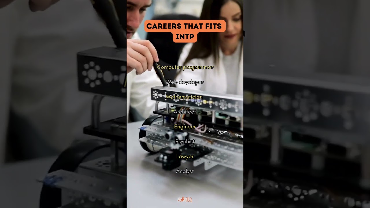 INTP Careers 