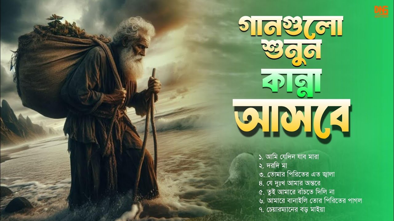 গানগুলো শুনলে কান্না চলে আসবে| Bangla Sad song 2025 | Bangla Audio album | DNS MUSIC STUDIO |
