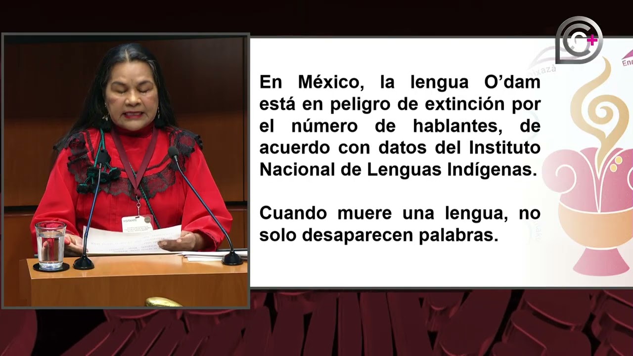 Mi nombre es Virginia Flores Flores, soy O´dam, vengo de Durango