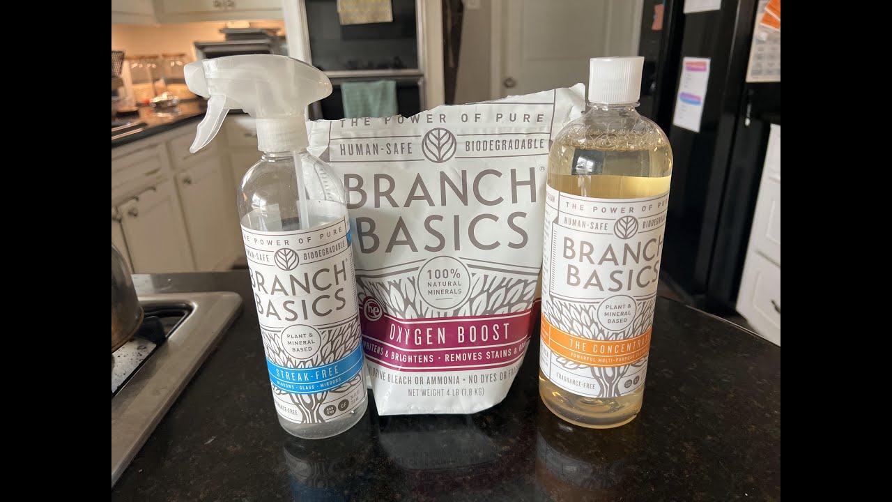 What are the Branch Basics Essentials? | REVIEW